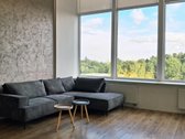 Išnuomojamas šviesus ir šiltas loftas be