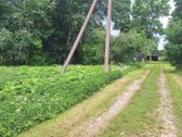 Parduodama Sodyba Gamtos Apsuptyje – - nuotraukos Nr. 7