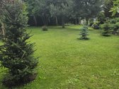 Parduodamas gyvenamasis namas Pavėsio gyv - nuotraukos Nr. 5