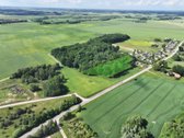 Parduodamas miško paskirties sklypas - nuotraukos Nr. 2