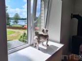 Parduodamas išskirtinis, naujai įrengtas 4 k. - nuotraukos Nr. 4