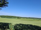 Unikalaus griožio ir vietos sodyba. Šalia - nuotraukos Nr. 4