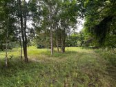 Parduodama sena sodyba su 2ha. žemės. - nuotraukos Nr. 5