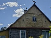 Unikalaus griožio ir vietos sodyba. Šalia - nuotraukos Nr. 13