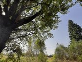 Parduodamas 18 ha natūralaus kraštovaizdžio - nuotraukos Nr. 7