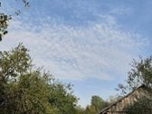 Parduodamas 18 ha natūralaus kraštovaizdžio - nuotraukos Nr. 13