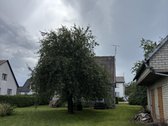 Parduodamas gyvenamasis namas su ūkiniu pastatu. - nuotraukos Nr. 9