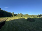 Parduodamas 12 arų sklypas Šiaulių r. Bubių - nuotraukos Nr. 3