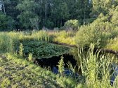 Parduodamas 12 arų sklypas Šiaulių r. Bubių - nuotraukos Nr. 5