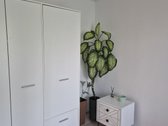 Parduodamas jaukus butas Visagine (5 aukštas - nuotraukos Nr. 7