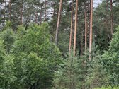 Sklypas yra susiformavusioje, uždaroje - nuotraukos Nr. 9