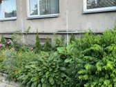 Parduodamas jaukus 2 kambarių butas viename - nuotraukos Nr. 11
