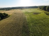 Parduodamas žemės ūkio paskirties sklypas su - nuotraukos Nr. 8