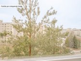 Parduodamas jaukus, šviesus ir šiltas, 3 - nuotraukos Nr. 5