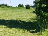 Parduodame 25,49a namų valdos sklypą - nuotraukos Nr. 2