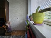 Parduodamas Jaukus 2 Kambarių Butas