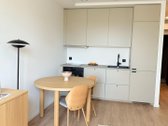 Parduodamas Stilingai Įrengtas 1 Kambario - nuotraukos Nr. 19