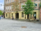 Puikiai matomos, su intensyviais pėsčiųjų - nuotraukos Nr. 2