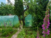 Parduodamas Namas Su 7,42 A Sklypu - nuotraukos Nr. 32