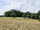 Parduodama sodybvietė 1,327 ha. Sklypas - nuotraukos Nr. 2