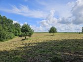 Parduodama sodybvietė 1,327 ha. Sklypas