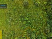 Parduodamas 29 Arų Namų Valdos Sklypas Su - nuotraukos Nr. 12
