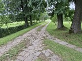 Unikalaus griožio ir vietos sodyba. Šalia - nuotraukos Nr. 17