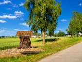 Parduodama Sodyba, Saviečių kaime Kėdainių - nuotraukos Nr. 2