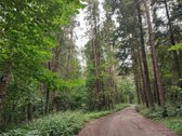 Parduodamas 2,08 ha sklypas prie Vilniaus – - nuotraukos Nr. 2