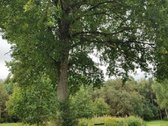 Parduodamas 2,08 ha sklypas prie Vilniaus – - nuotraukos Nr. 8