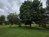 Jei pasiilgote ramybės ir nuostabios gamtos - nuotraukos Nr. 4