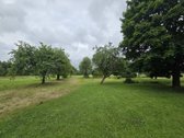 Jei pasiilgote ramybės ir nuostabios gamtos - nuotraukos Nr. 5