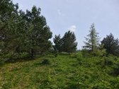 Gudelių k., Vilniaus g., Vilniaus r., 50 a. - nuotraukos Nr. 3
