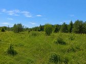Gudelių k., Vilniaus g., Vilniaus r., 50 a. - nuotraukos Nr. 5