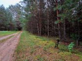 Parduodamas 1,47 ha žemės ūkio paskirties - nuotraukos Nr. 3