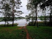 Parduodamas 1,47 ha žemės ūkio paskirties - nuotraukos Nr. 3