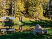 Parduodamas 1,47 ha žemės ūkio paskirties - nuotraukos Nr. 13