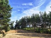 Parduodamas sklypas, kuriame galima statyti - nuotraukos Nr. 3