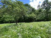 Parduodamas 6 arų sklypas Rastinėnuose, Mėtų - nuotraukos Nr. 4