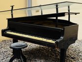 Klasikinės muzikos apsuptyje, nuomojamas - nuotraukos Nr. 17