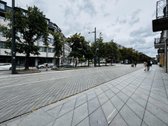 Klasikinės muzikos apsuptyje, nuomojamas - nuotraukos Nr. 18