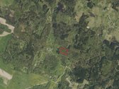 Parduodamas miškas Stirbaičių kaime - nuotraukos Nr. 3