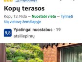 Išskirtinis Kotedžas Investicijai Nidos - nuotraukos Nr. 49