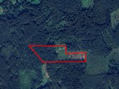 Miškas Pabradės sen., Gužių k. 5,45 ha - nuotraukos Nr. 2