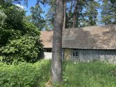 Parduodama jauki sodyba Rokiškio rajone, - nuotraukos Nr. 10