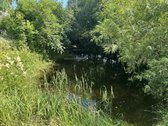 Parduodama jauki sodyba Rokiškio rajone, - nuotraukos Nr. 12