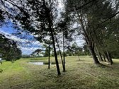 Parduodamas išskirtinis 71 arų namų valdos - nuotraukos Nr. 7