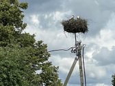 Parduodamas išskirtinis 71 arų namų valdos - nuotraukos Nr. 16
