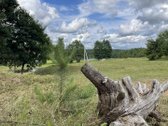 Parduodamas išskirtinis 71 arų namų valdos - nuotraukos Nr. 18