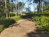 Išskirtinis 27.9 Ha Sklypas Unikalioje - nuotraukos Nr. 4